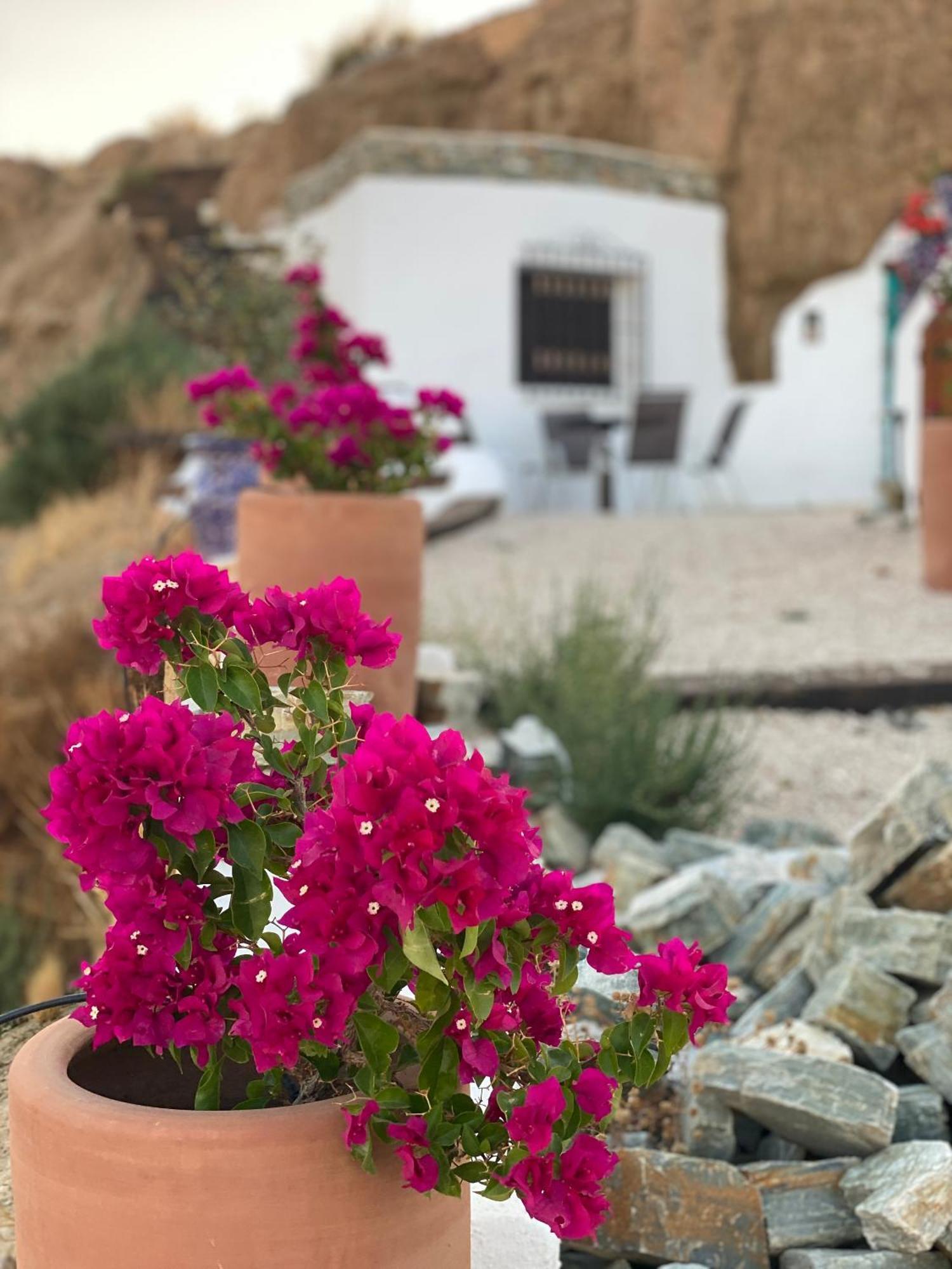 Vila Cuevas Oro Y Arcilla Guadix Exteriér fotografie
